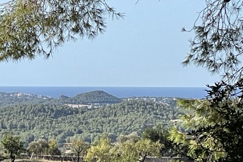 Finca pārdošanā Calvia, Mallorca, Spānijā 1 istaba, 60 m2 Nr. 138612 - attēls 1