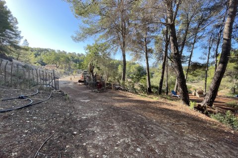 Finca pārdošanā Calvia, Mallorca, Spānijā 1 istaba, 60 m2 Nr. 138612 - attēls 5