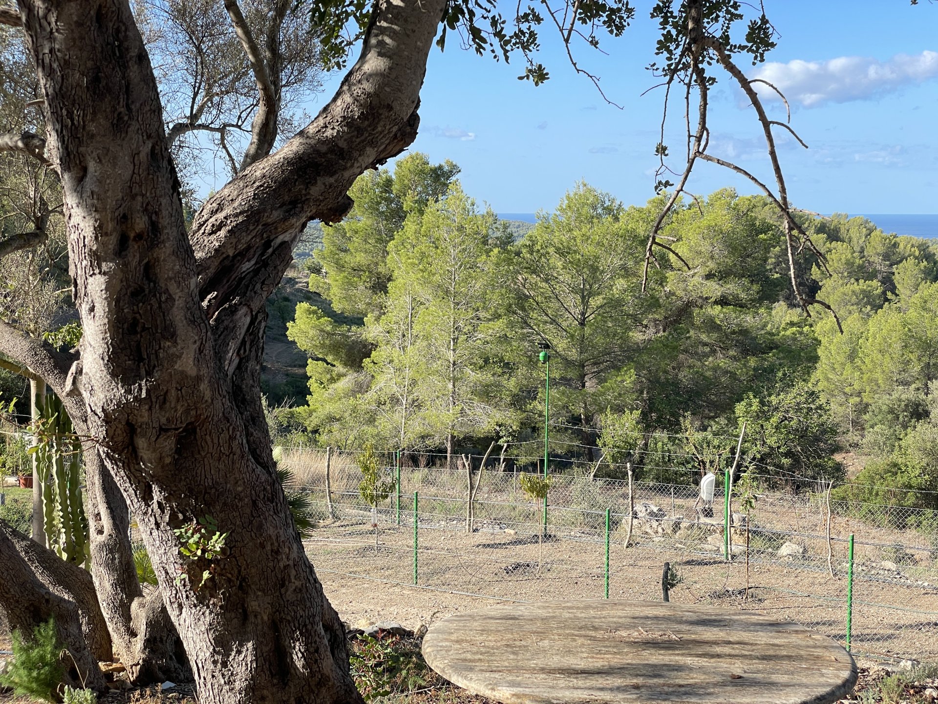 Finca Calvia, Mallorca, Espanja 1 makuuhuone, 60 m2 No. 138612