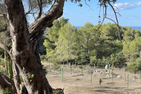 Finca pārdošanā Calvia, Mallorca, Spānijā 1 istaba, 60 m2 Nr. 138612 - attēls 3