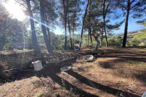 Finca pārdošanā Calvia, Mallorca, Spānijā 1 istaba, 60 m2 Nr. 138612 - attēls 2