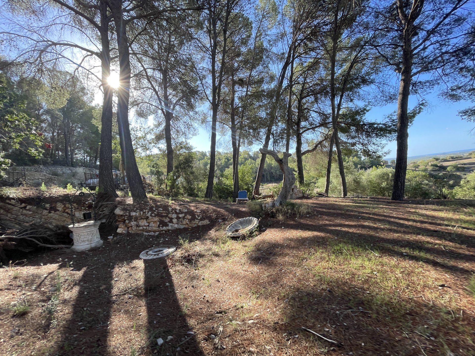 Finca Calvia, Mallorca, Espanja 1 makuuhuone, 60 m2 No. 138612