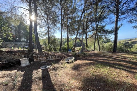Finca pārdošanā Calvia, Mallorca, Spānijā 1 istaba, 60 m2 Nr. 138612 - attēls 4