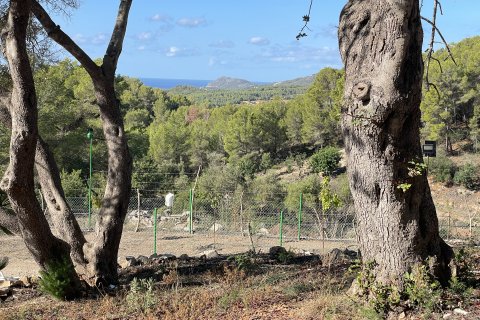Finca pārdošanā Calvia, Mallorca, Spānijā 1 istaba, 60 m2 Nr. 138612 - attēls 6