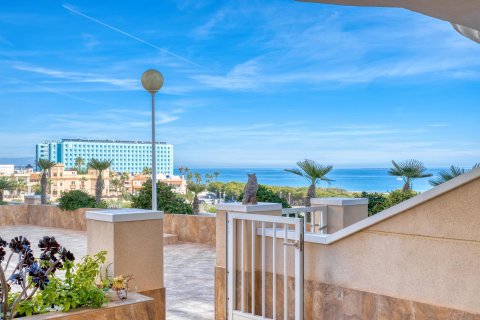 Appartamento in vendita a Guardamar del Segura, Alicante, Spagna 2 camere da letto, 71 mq. N° 144013 - foto 15