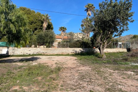 Finca till salu i Aspe, Alicante, Spanien 3 sovrum, 155 kvm. Nr. 149987 - foto 14