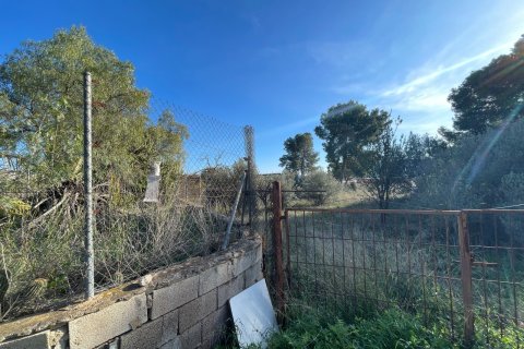 Finca till salu i Aspe, Alicante, Spanien 3 sovrum, 155 kvm. Nr. 149987 - foto 15