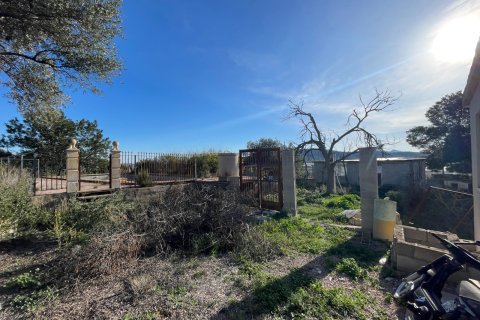 Finca till salu i Aspe, Alicante, Spanien 3 sovrum, 155 kvm. Nr. 149987 - foto 18