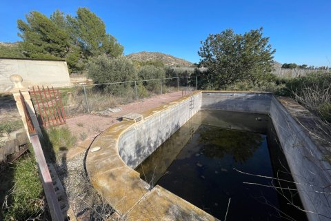 Finca till salu i Aspe, Alicante, Spanien 3 sovrum, 155 kvm. Nr. 149987 - foto 19