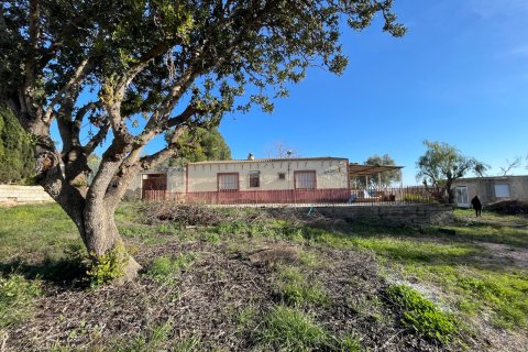 Finca till salu i Aspe, Alicante, Spanien 3 sovrum, 155 kvm. Nr. 149987 - foto 11