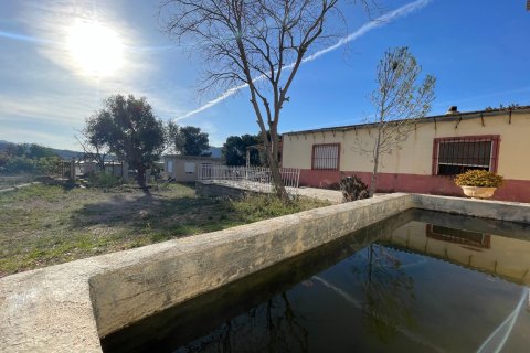 Finca till salu i Aspe, Alicante, Spanien 3 sovrum, 155 kvm. Nr. 149987 - foto 28