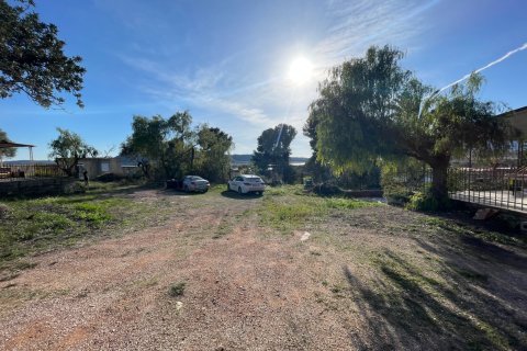 Finca till salu i Aspe, Alicante, Spanien 3 sovrum, 155 kvm. Nr. 149987 - foto 8