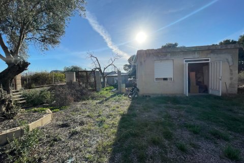 Finca till salu i Aspe, Alicante, Spanien 3 sovrum, 155 kvm. Nr. 149987 - foto 3