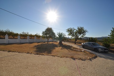 Finca zum Verkauf in Pinoso, Alicante, Spanien 8 Schlafzimmer, 450 m2 Nr. 149993 - Foto 16