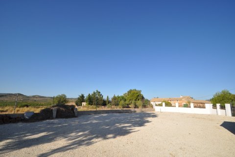Finca zum Verkauf in Pinoso, Alicante, Spanien 8 Schlafzimmer, 450 m2 Nr. 149993 - Foto 17