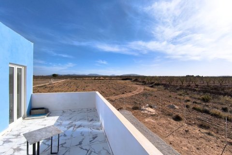 Villa for sale in Pinoso, Alicante, Spain 4 bedrooms, 220 sq.m. No. 149990 - photo 10