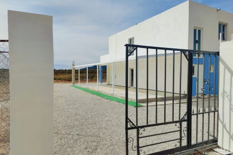 Villa for sale in Pinoso, Alicante, Spain 4 bedrooms, 220 sq.m. No. 149990 - photo 6