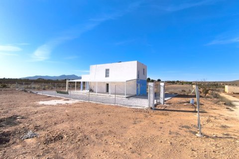 Villa for sale in Pinoso, Alicante, Spain 4 bedrooms, 220 sq.m. No. 149990 - photo 3