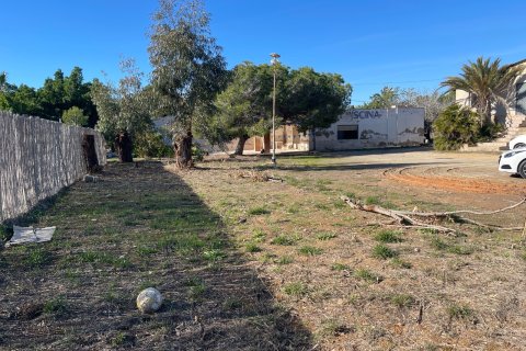 Finca till salu i Elche, Alicante, Spanien 6 sovrum, 450 kvm. Nr. 149988 - foto 6