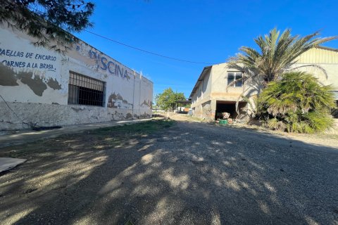Finca till salu i Elche, Alicante, Spanien 6 sovrum, 450 kvm. Nr. 149988 - foto 15