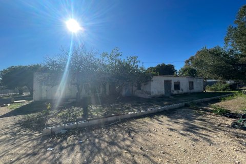 Finca till salu i Elche, Alicante, Spanien 6 sovrum, 450 kvm. Nr. 149988 - foto 4