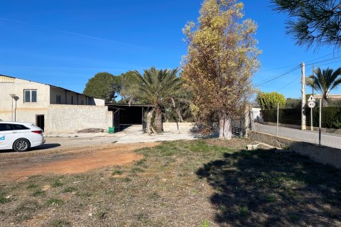 Finca till salu i Elche, Alicante, Spanien 6 sovrum, 450 kvm. Nr. 149988 - foto 7
