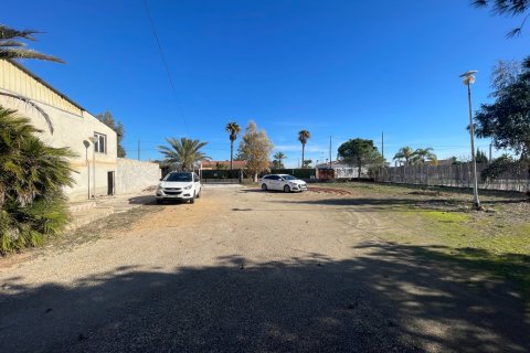 Finca till salu i Elche, Alicante, Spanien 6 sovrum, 450 kvm. Nr. 149988 - foto 14