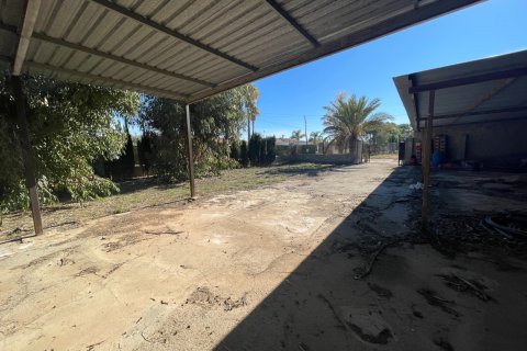 Finca till salu i Elche, Alicante, Spanien 6 sovrum, 450 kvm. Nr. 149988 - foto 8