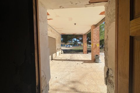 Finca till salu i Elche, Alicante, Spanien 6 sovrum, 450 kvm. Nr. 149988 - foto 30