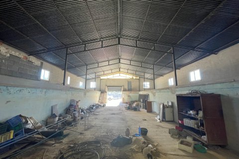 Finca till salu i Elche, Alicante, Spanien 6 sovrum, 450 kvm. Nr. 149988 - foto 5