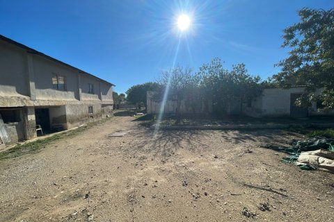 Finca till salu i Elche, Alicante, Spanien 6 sovrum, 450 kvm. Nr. 149988 - foto 12