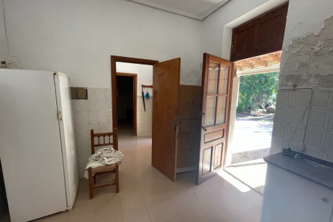 Finca till salu i Elche, Alicante, Spanien 6 sovrum, 450 kvm. Nr. 149988 - foto 20