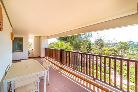 Apartamento en venta Orihuela, Alicante, España 191 m2 No. 138456 - foto 16