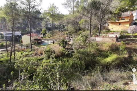 Terreno a Olivella, Barcelona, Spagna 847 mq. N° 185256