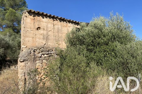 Продажа земельного участка в Аско, Таррагона, Испания 254243м2 №187838 - фото 13