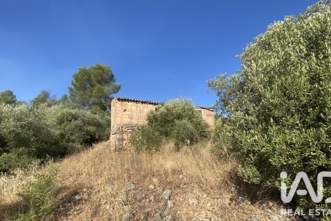Продажа земельного участка в Аско, Таррагона, Испания 254243м2 №187838 - фото 15