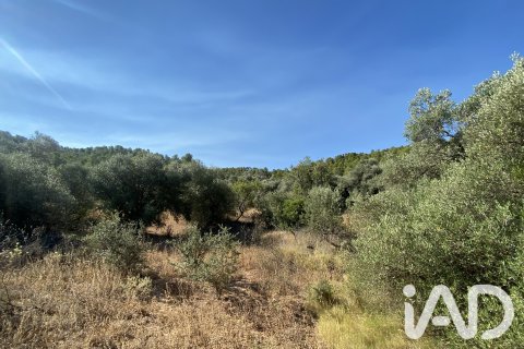 Продажа земельного участка в Аско, Таррагона, Испания 254243м2 №187838 - фото 17