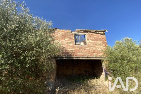 Продажа земельного участка в Аско, Таррагона, Испания 254243м2 №187838 - фото 14