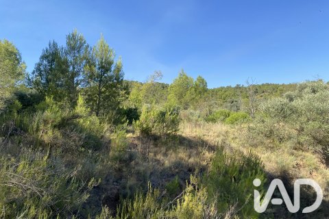 Продажа земельного участка в Аско, Таррагона, Испания 254243м2 №187838 - фото 29