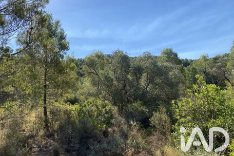 Продажа земельного участка в Аско, Таррагона, Испания 254243м2 №187838 - фото 25
