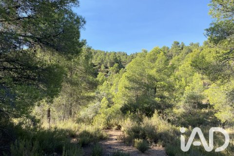 Продажа земельного участка в Аско, Таррагона, Испания 254243м2 №187838 - фото 12