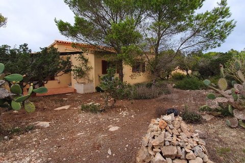 House à vendre à Sant Francesc De Formentera, Formentera, Espagne, 2 chambres, 200 m2 No. 153988 - photo 14