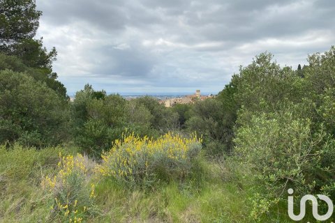 Terreno in vendita a Castellvell del Camp, Tarragona, Spagna 4813 mq. N° 153993 - foto 5