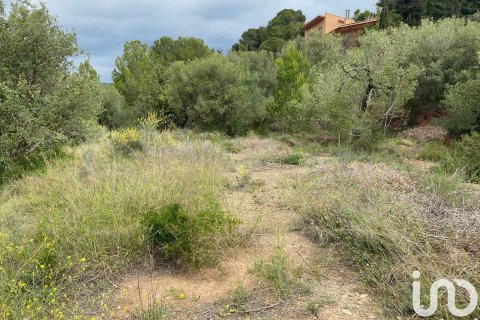 Terreno in vendita a Castellvell del Camp, Tarragona, Spagna 4813 mq. N° 153993 - foto 3