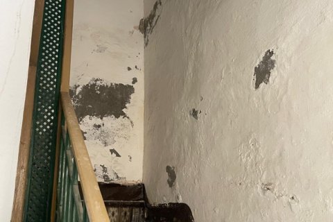 Продажа коммерческой недвижимости в Экия, Севилья, Испания 537м2 №153972 - фото 2