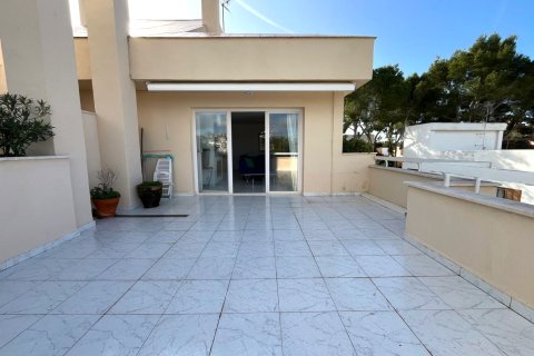 Lägenhet för uthyrning i Santa Ponsa, Mallorca, Spanien 3 sovrum, 98 kvm. Nr. 149268 - foto 15