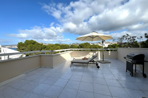 Apartment in Santa Ponsa, Mallorca, Spain 3 bedrooms, 98 sq.m. No. 149268