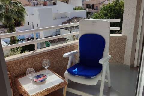 Wohnung zur Miete in Port De Pollenca, Mallorca, Spanien 1 Schlafzimmer, 45 m2 Nr. 149266 - Foto 3
