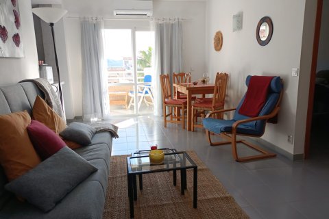 Wohnung zur Miete in Port De Pollenca, Mallorca, Spanien 1 Schlafzimmer, 45 m2 Nr. 149266 - Foto 5