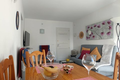 Wohnung zur Miete in Port De Pollenca, Mallorca, Spanien 1 Schlafzimmer, 45 m2 Nr. 149266 - Foto 2